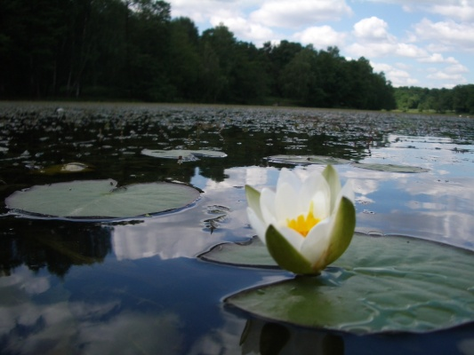 Фото из собственного архива
