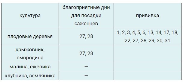 Лунный календарь на март: полезная табличка для посадки рассады и прочих дел