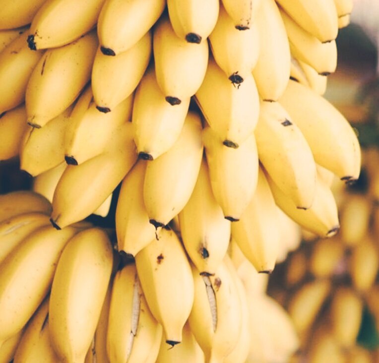 Какие бывают бананы. Банан Ориентал Дварф. Дикорастущие бананы. Бананы мини. Натуральный банан.