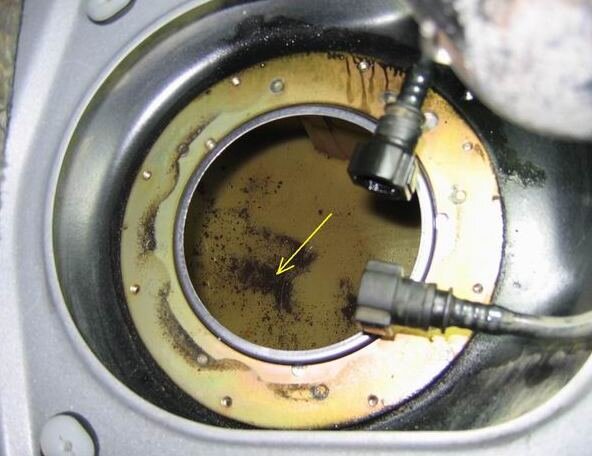 Фотография взята с бесплатного фотостока