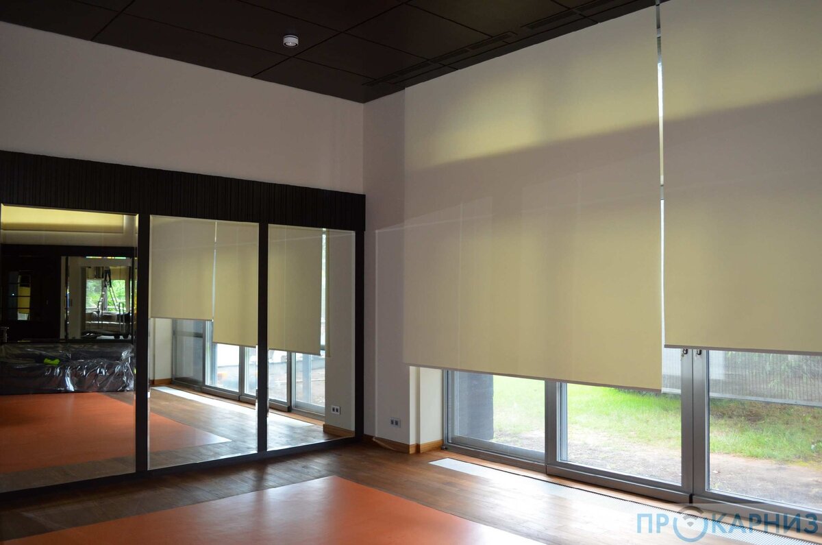 Рулонные шторы с электроприводом 