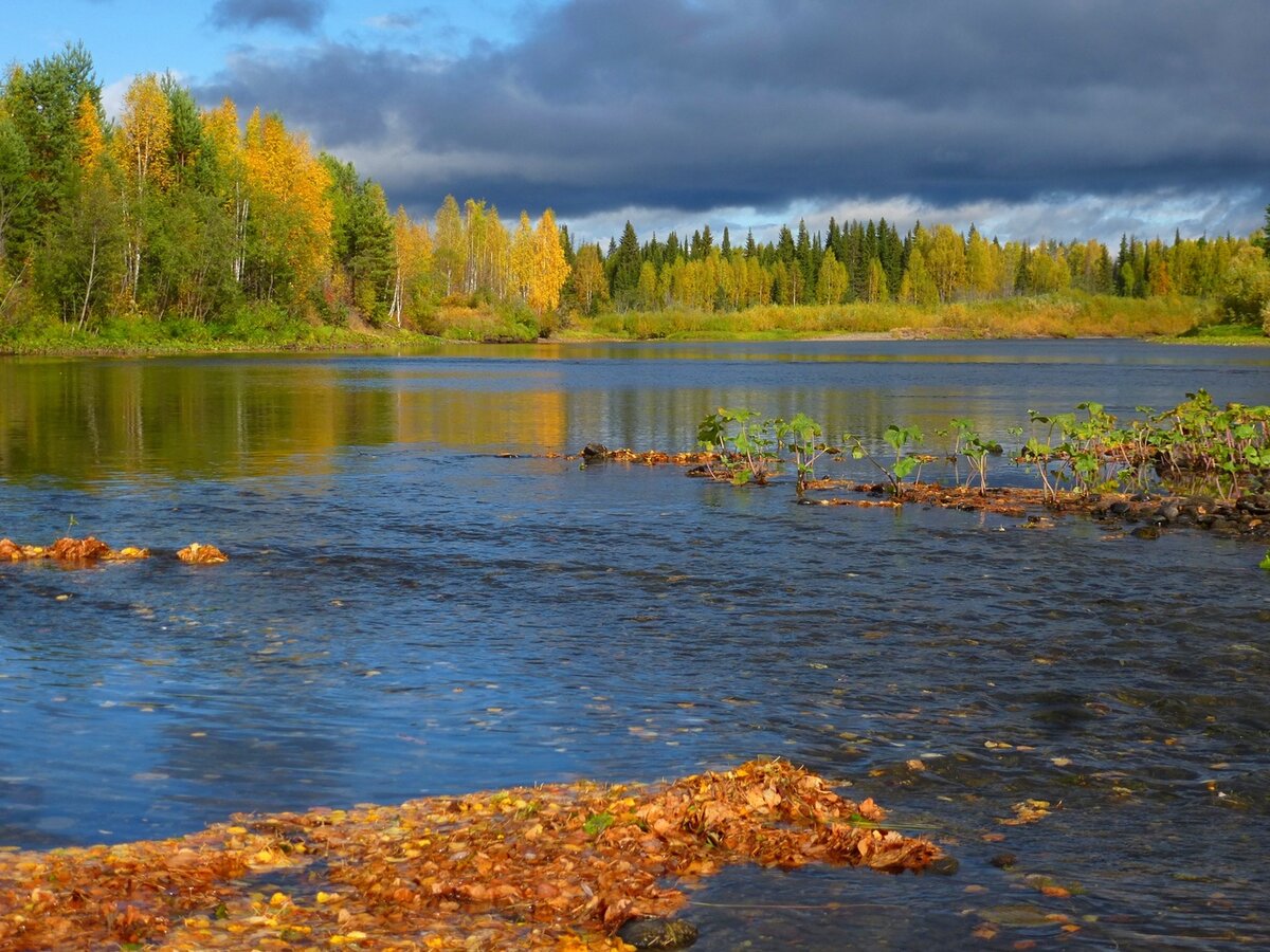 Река Ушма Свердловская область