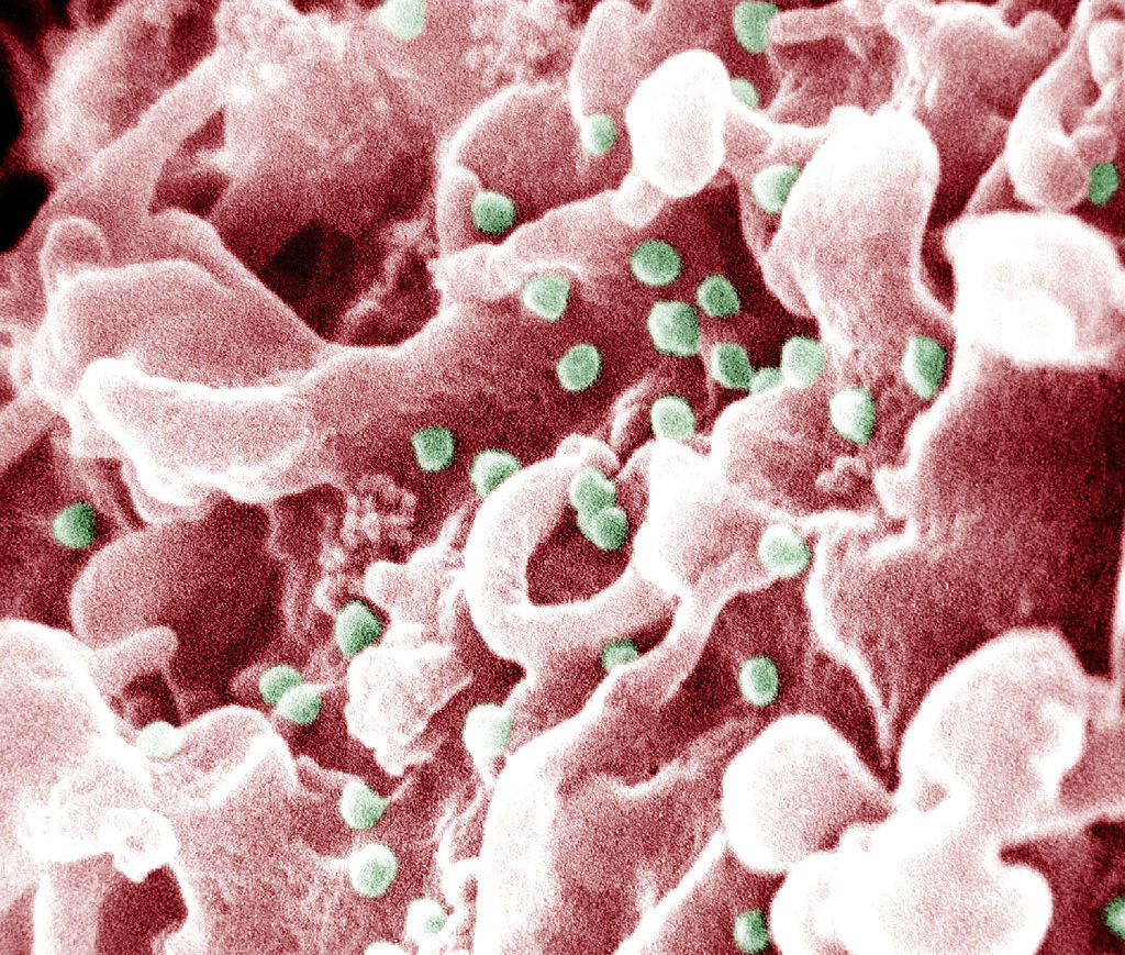 Фото с сайта cdn.arstechnica.net