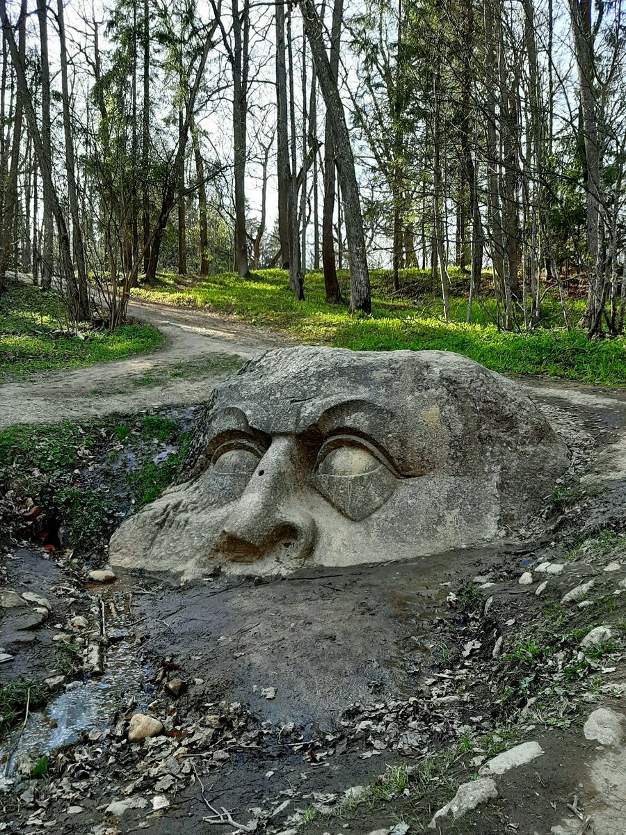 Таинственная голова в Сергиевке