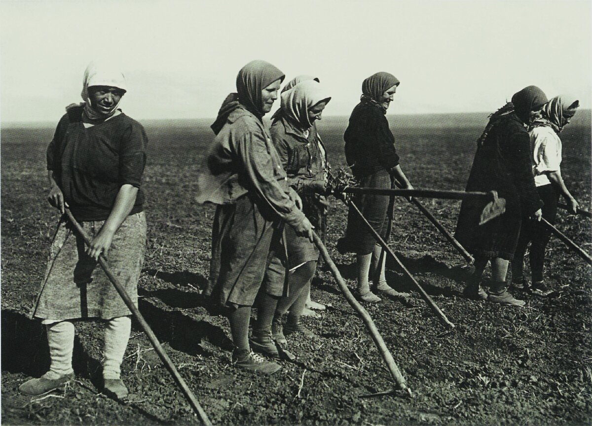 Советские женщины за работой в поле