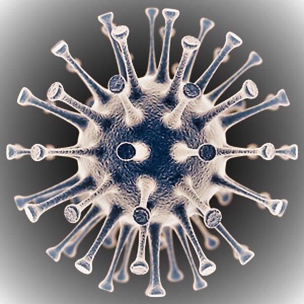 Вот такой красавец наделал столько бед.