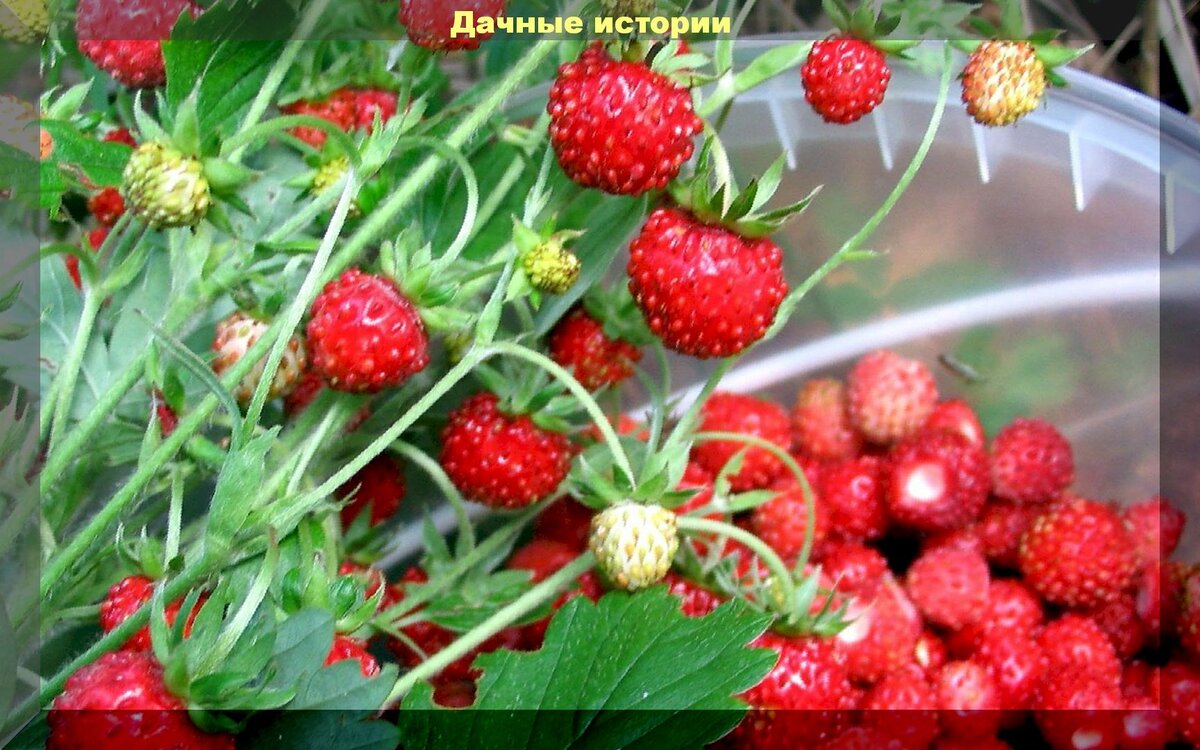 https://vk.com/photo-159774511_457243569