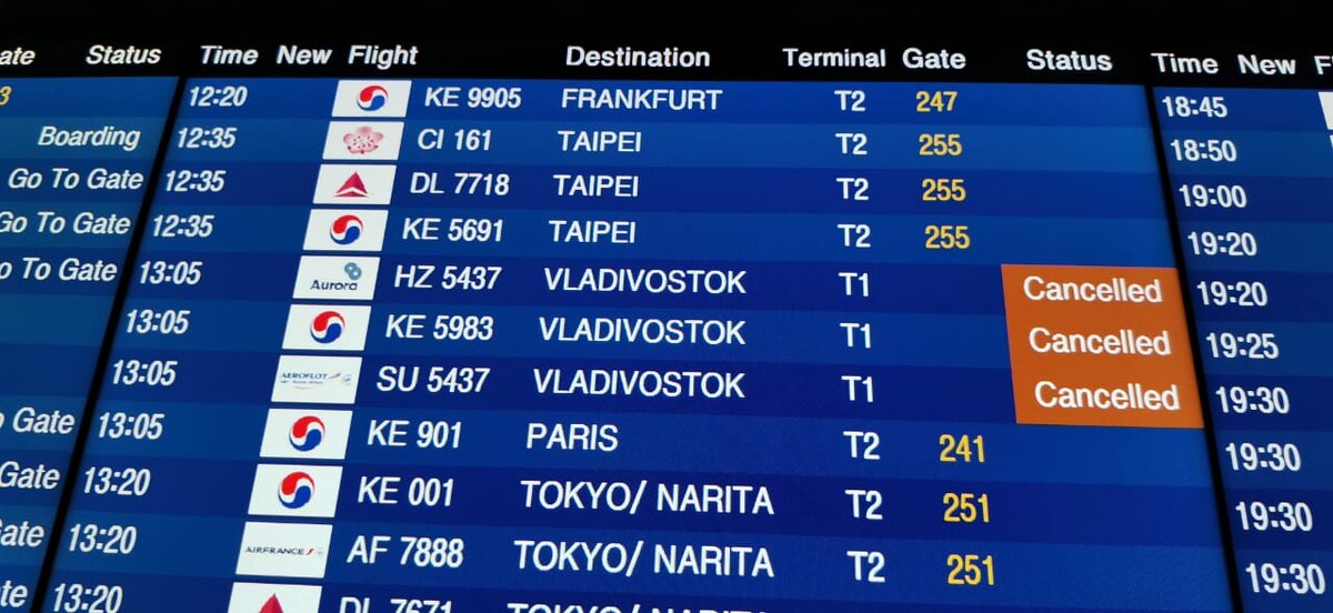 корейская авиакомпания korean air. авиакомпания кореан эйр. билеты се. бронирование авиабилетов. Korean airlines (южная корея) стюардессы.