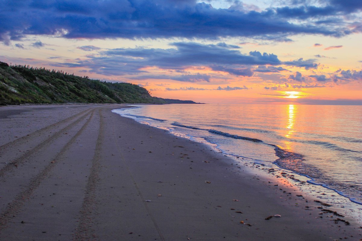Летний берег Белого моря. Фото из свободных источников