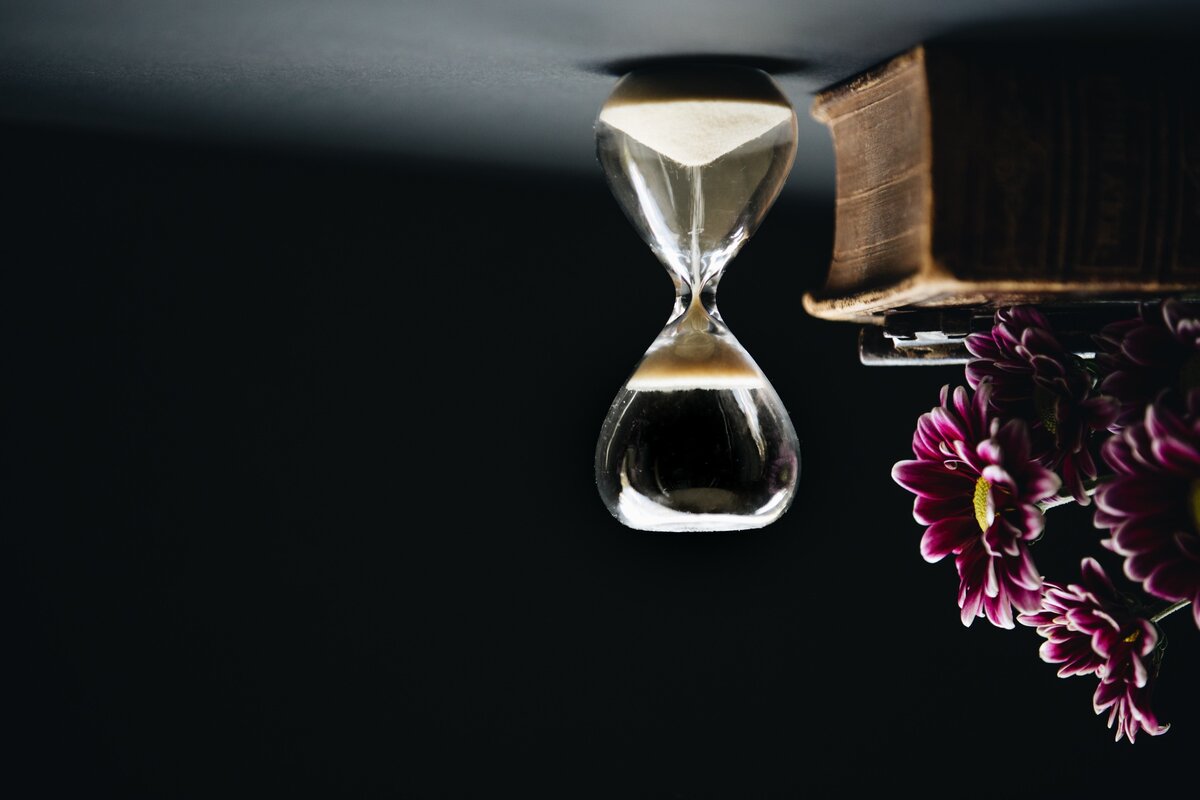 Фото из открытого источника