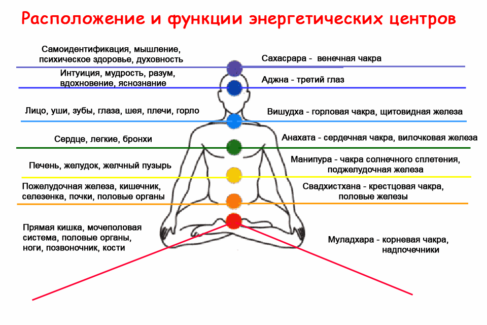 Чакры человека - Yoga, Yogatherapy, Ayurveda