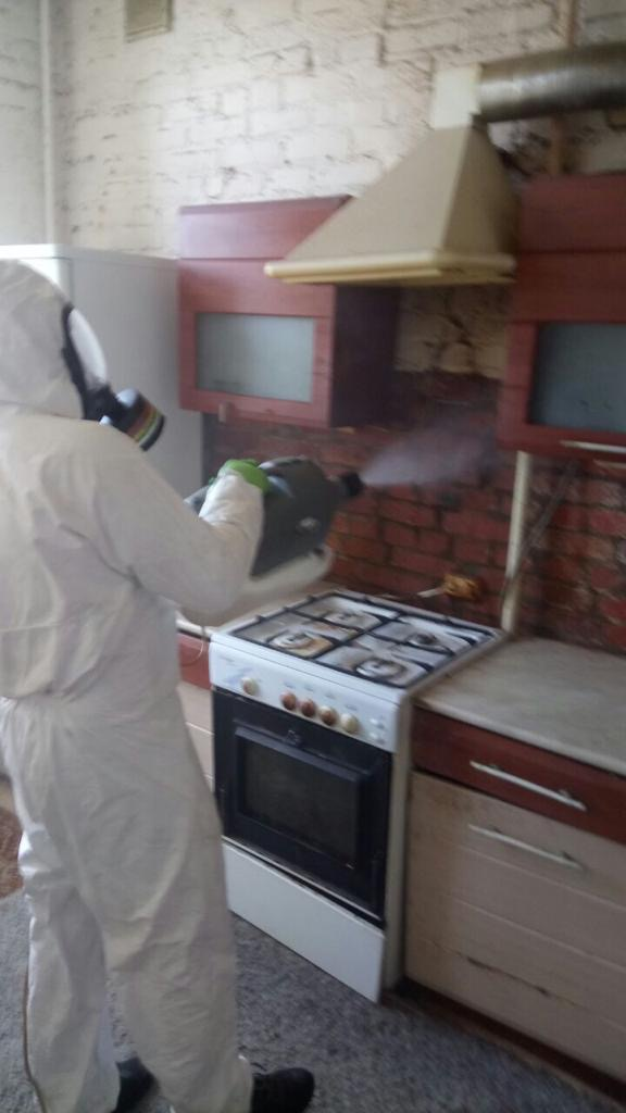 Дезинсекция в Москве