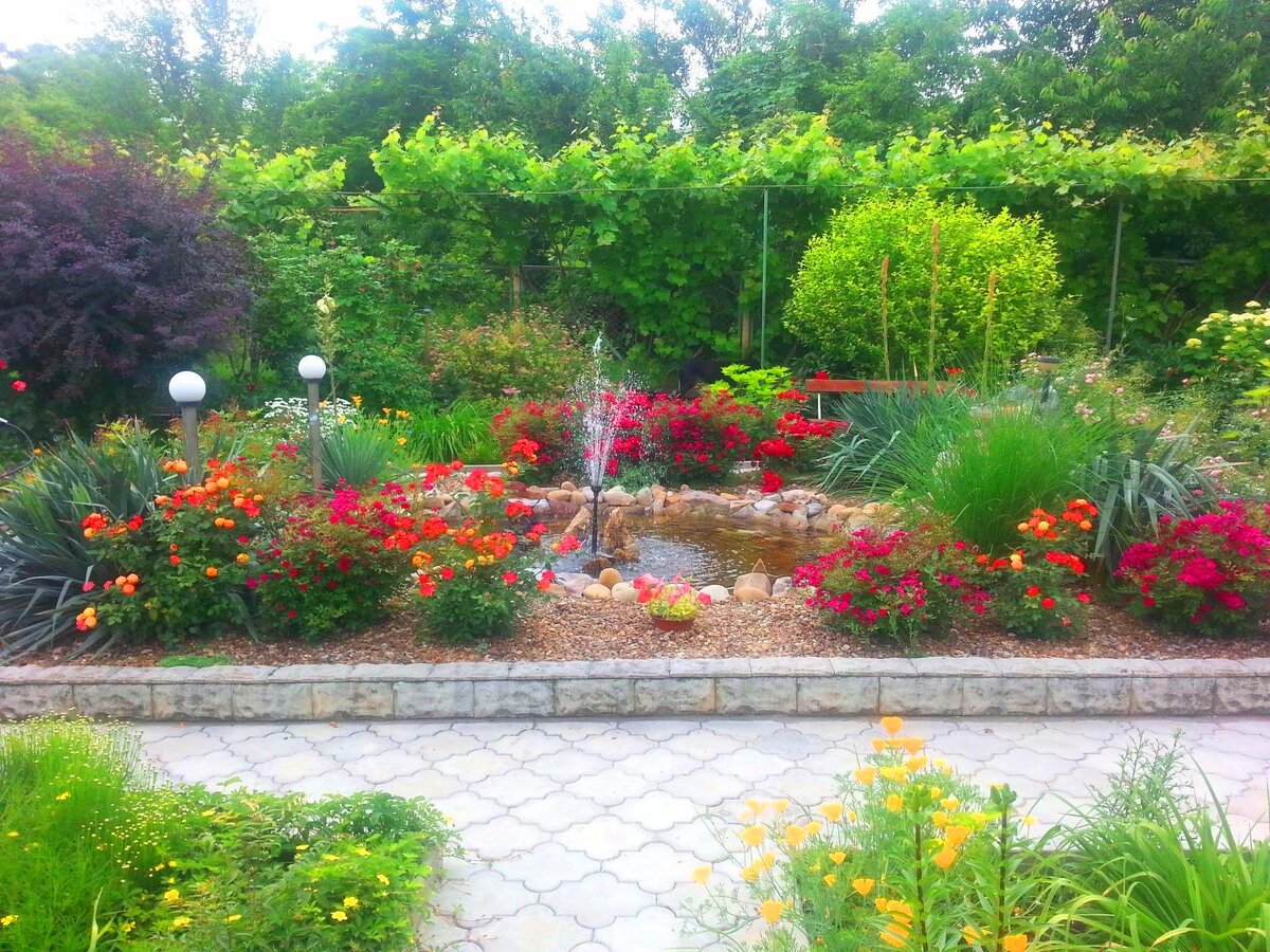 Наш пруд(фото автора)