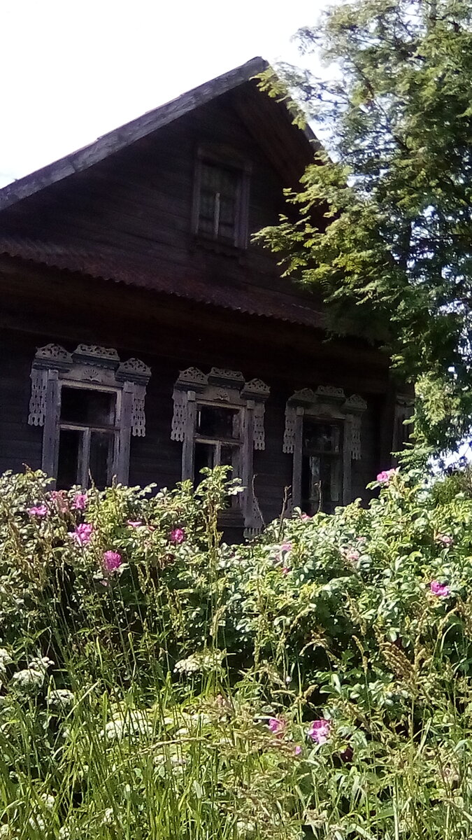 Дом в шиповниках в деревне Борзенево