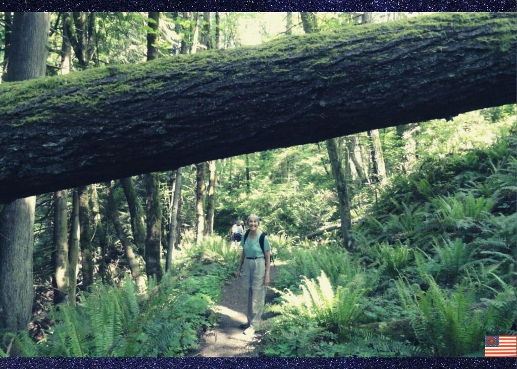 Гленда. Я попросила ее обернуться. И заметили какое огромное дерево повалено? Деревья в парке о-о-очень высокие. 