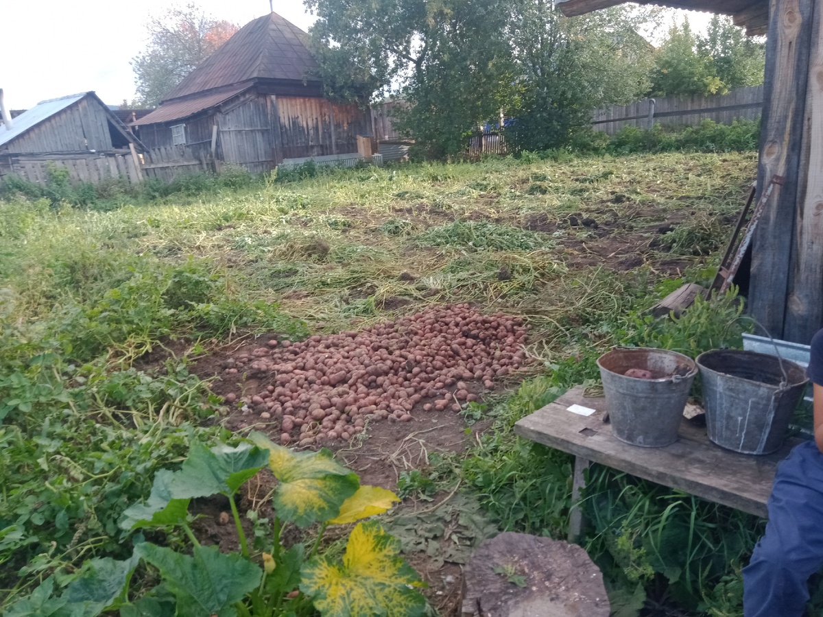 Уборка