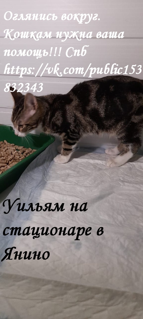 Уильям в стационаре в Янино. Уже встает