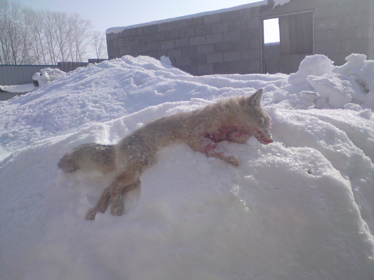 это было давненько