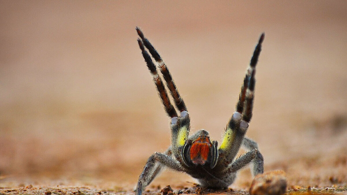 Источник: yandex.ru