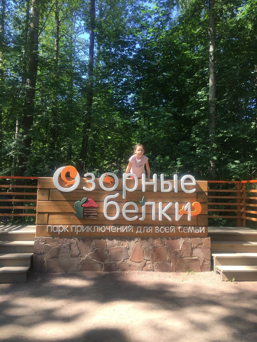 озорные белки парк