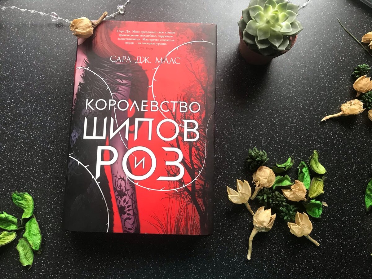 Обзор книги: Королевство шипов и роз | Ёнван | Дзен