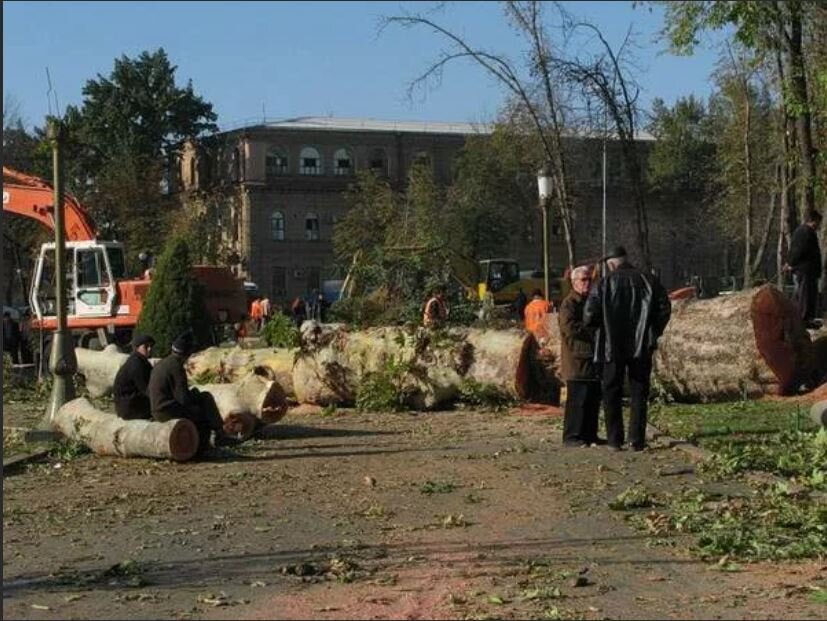 Мало, ох мало спилили, надо бы еще...