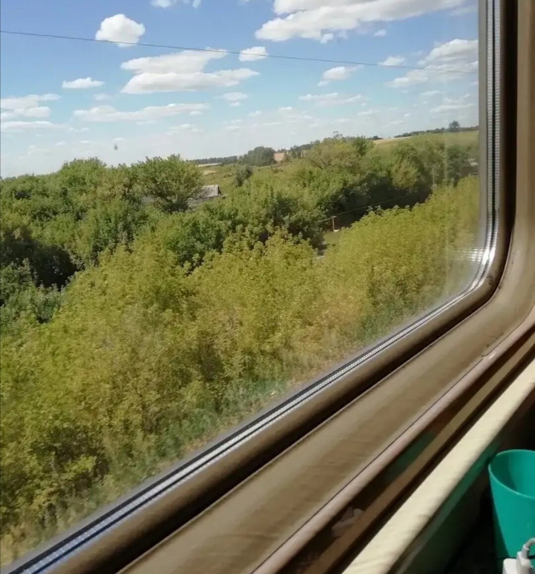 Фото из интернета 