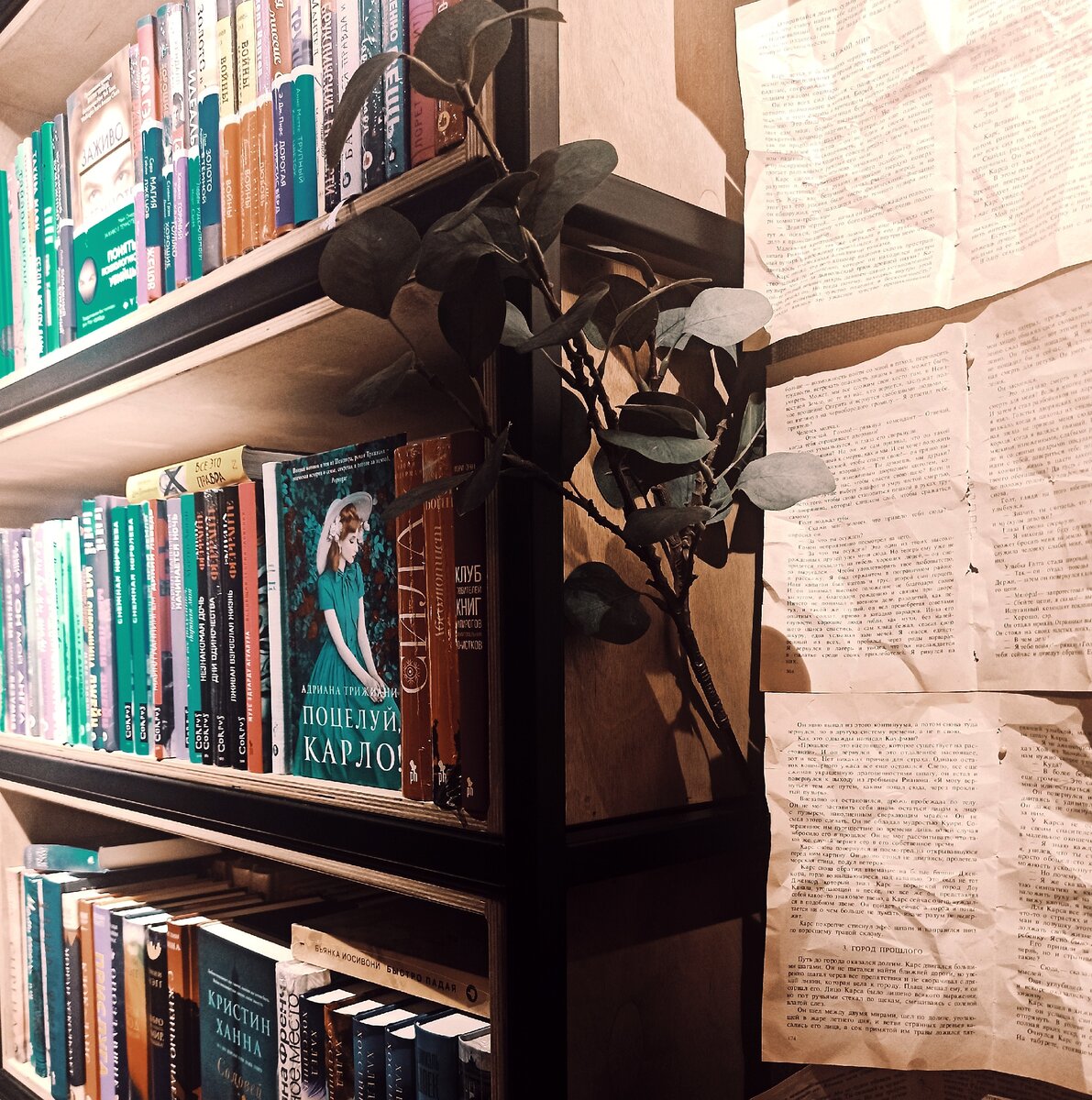 Издательство Кофе