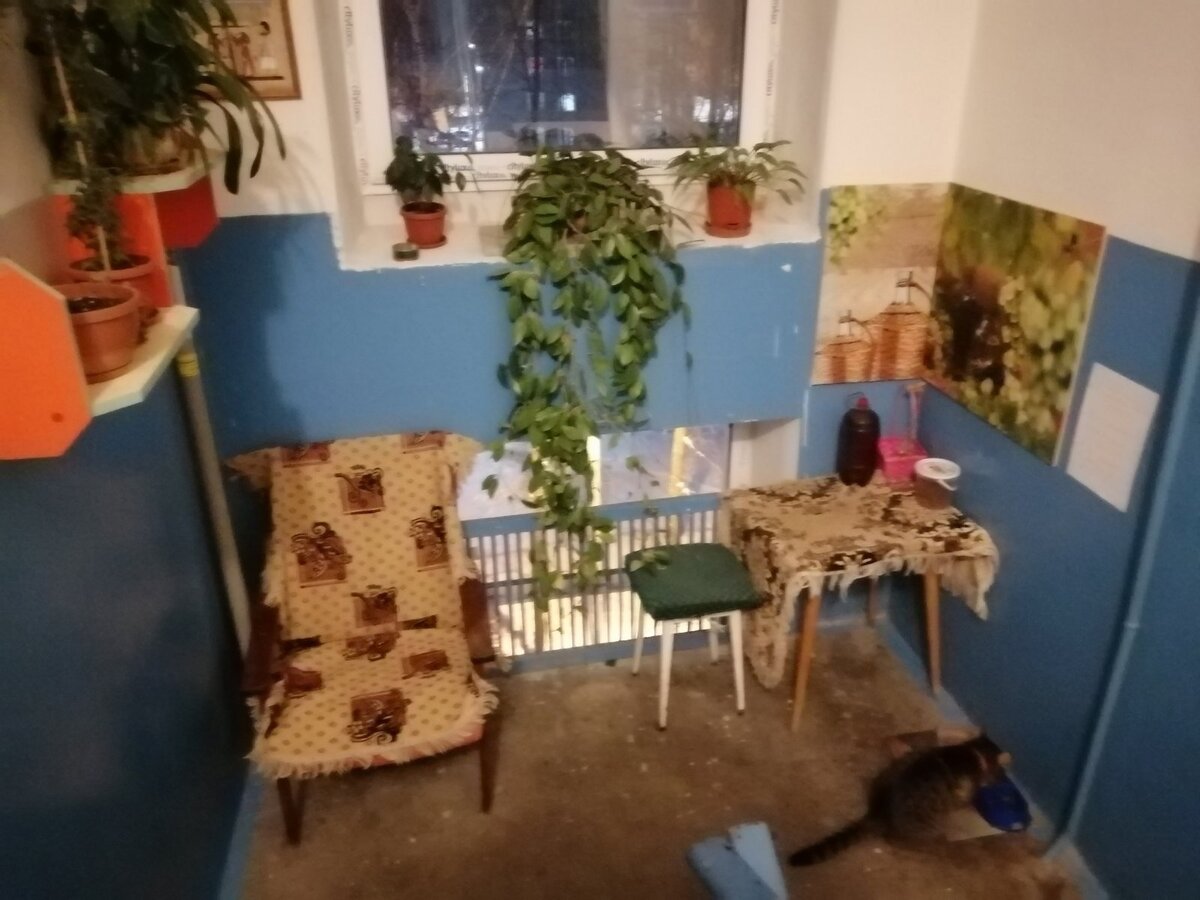 Живой уголок