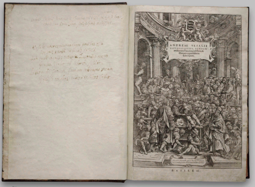 Страницы из книги. Andreas Vesalius, De humani corporis fabrica. Basel: Oporinas, 1543