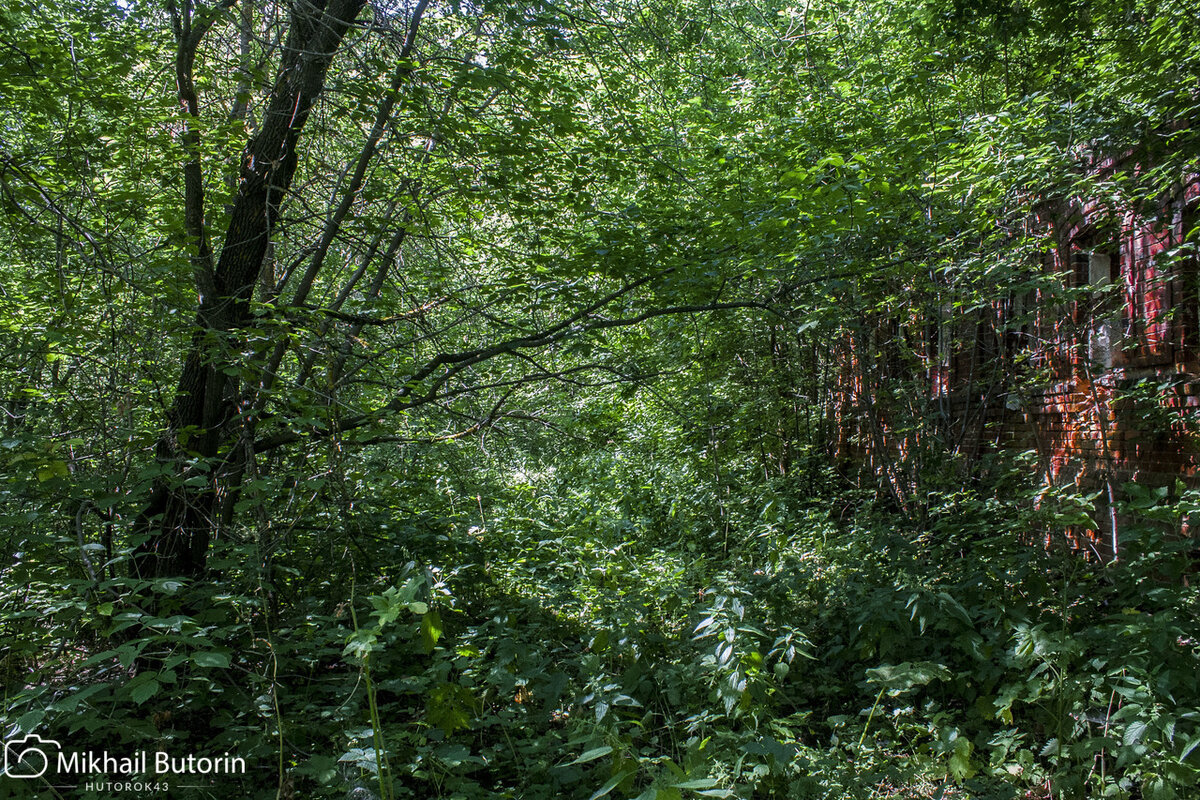 Так выглядит бывшая дорога вдоль деревенских домов.