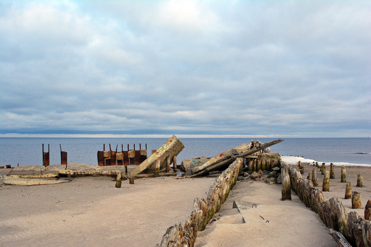 Утренняя фотопрогулка по берегу Белого моря | Движение-Жизнь | Дзен