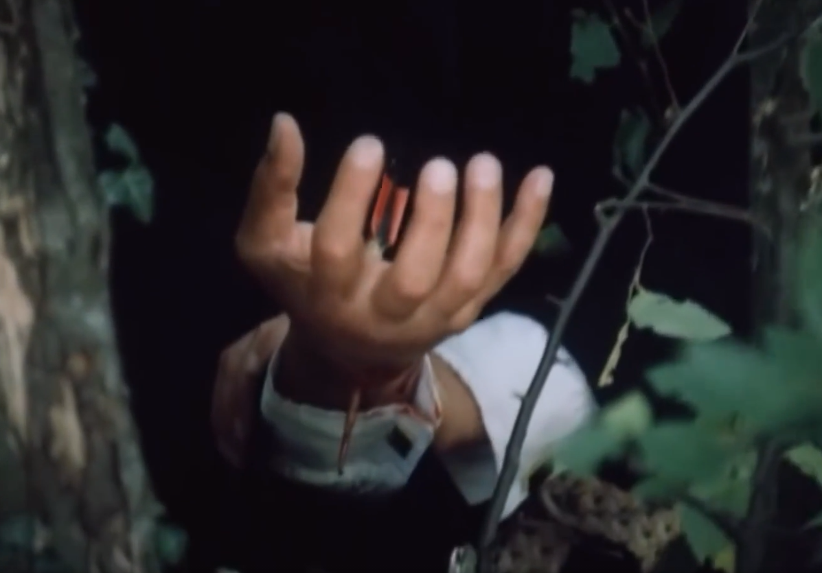 Бестолковый убийца 