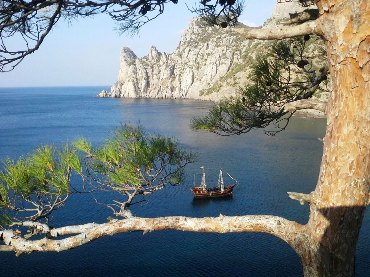 Новый свет Крым море