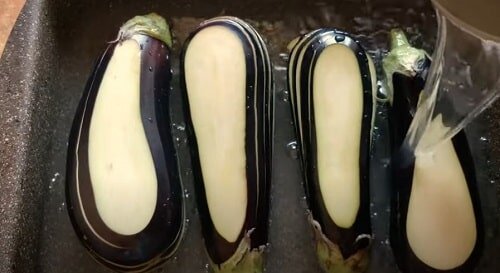Баклажаны Жар птица