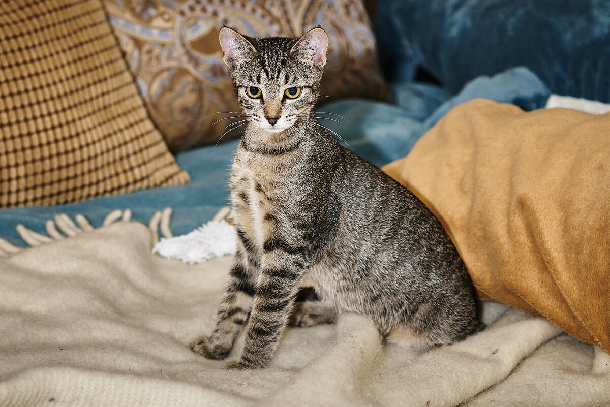 Изящная Валя 3,5 месяцев.