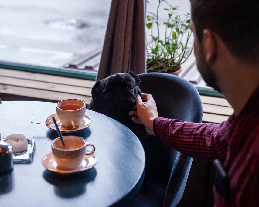 Сейчас собаку можно взять с собой и в отпуск, и в кафе (главное, чтобы кафе и отель были дог-френдли)