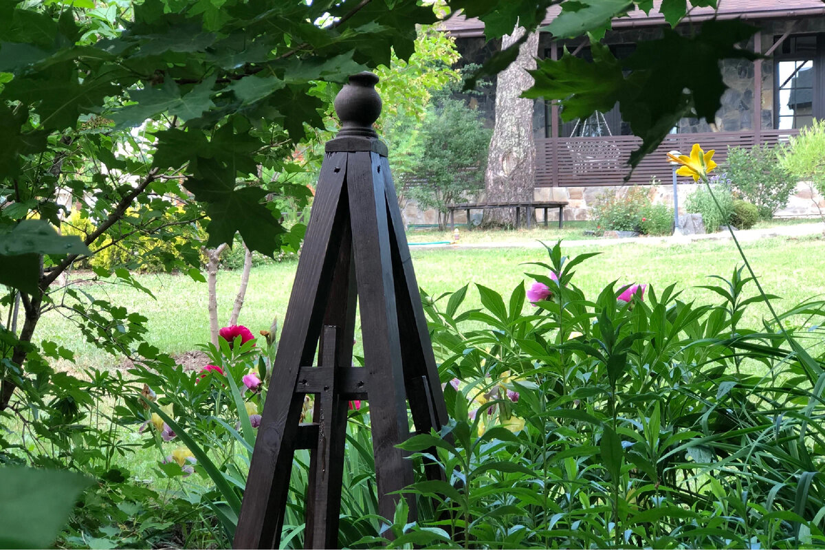 Фото: Эстетика сада