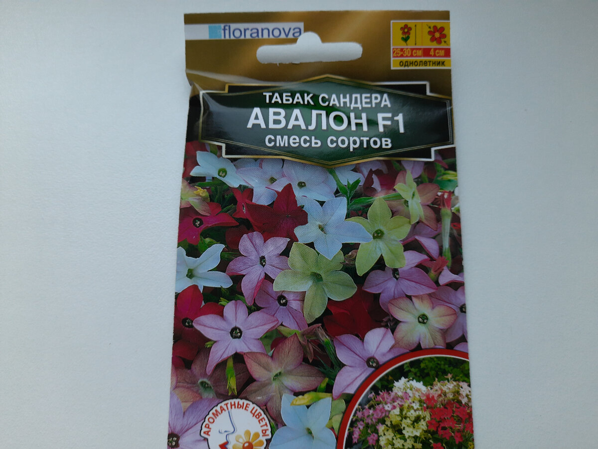 моя покупка (фото автора)