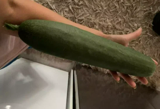 Фотография взята из источника yandex.ru