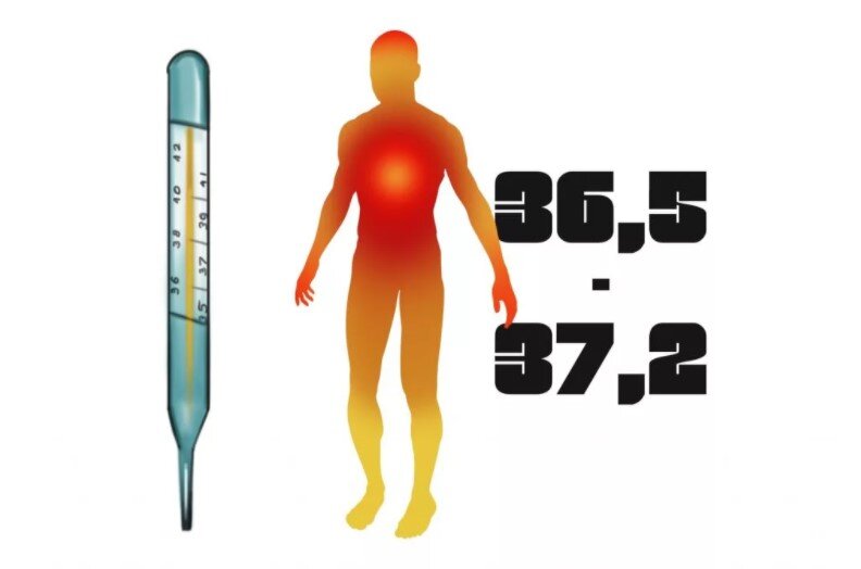 Температура тела. Нормы и опасные состояния