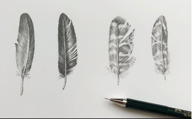 @natiik22 С кайфом провожу свободные минуты, рисуя пёрышки для марафона «Ни пуха, ни пера» с @tashagabeeva и @enterclass. Я вообще от процесса штриховки вхожу в такое кайфушное и невесомое состояние, что ничего вокруг не замечаю:)) О, как это иногда полезно ( пусть весь мир подождет:))) 