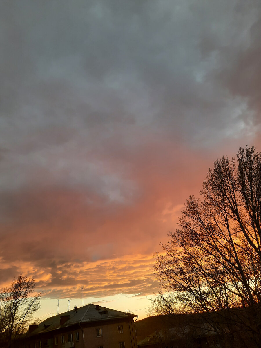 Небо сегодня красивое