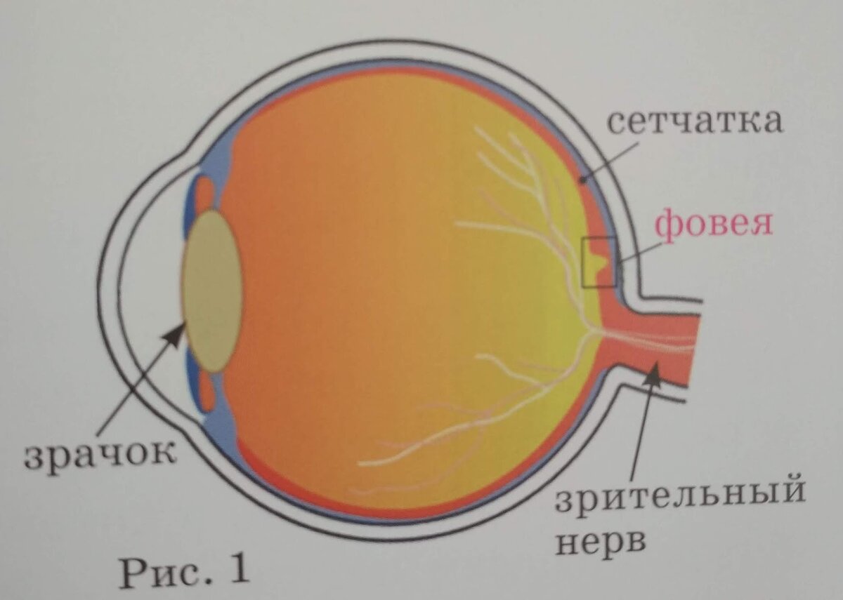 Стихи про улыбку девушки