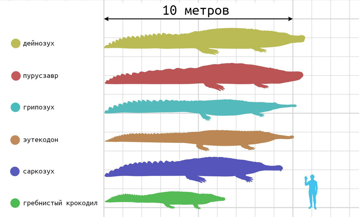 Почему выжили крокодилы? Загадка природы, в возможное решение которой  трудно поверить | Журнал 