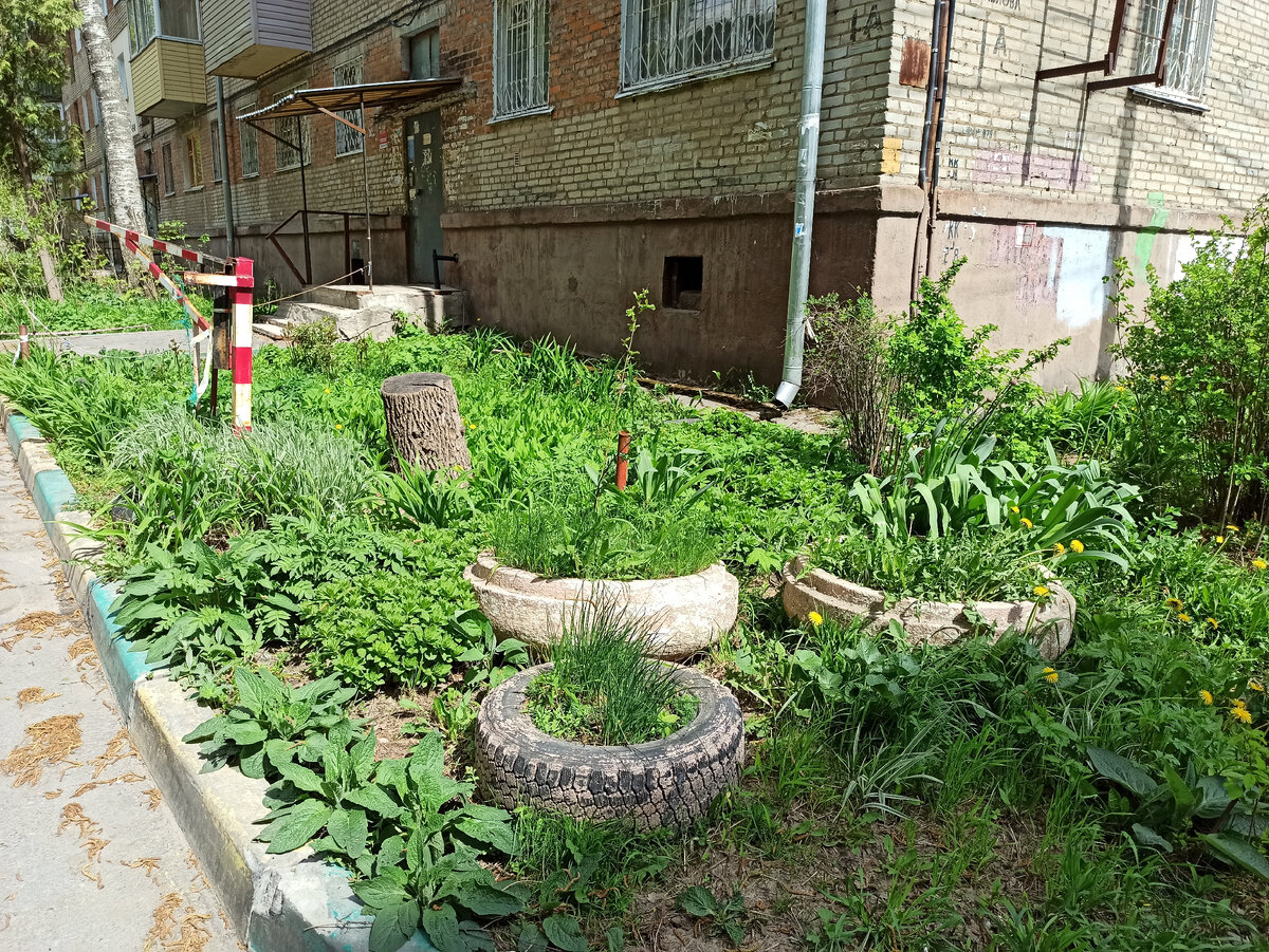 Фото автора.