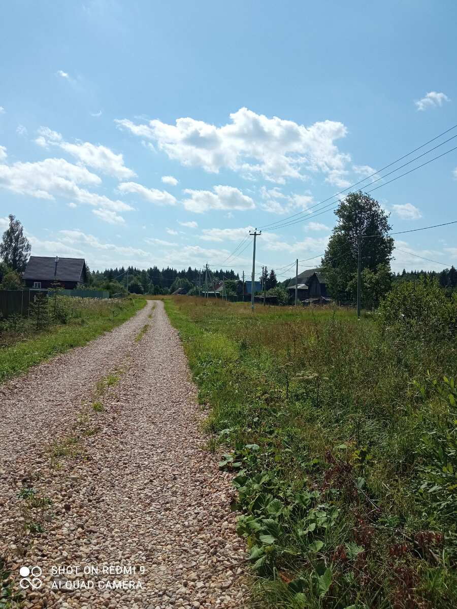 Деревня Фото автора