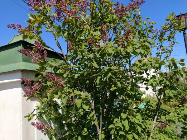    Фото: Екатерина Иванова