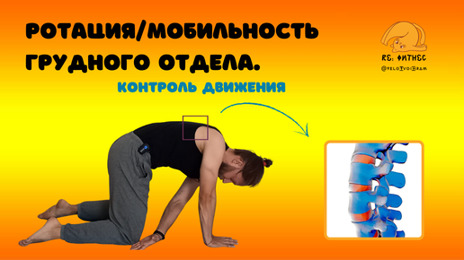 Мобилизация грудного отдела. Упражнения для мобилизации грудного отдела. Упражнения на мобильность грудного отдела позвоночника. Скручивание грудного отдела позвоночника. Мобилизация позвоночника упражнения