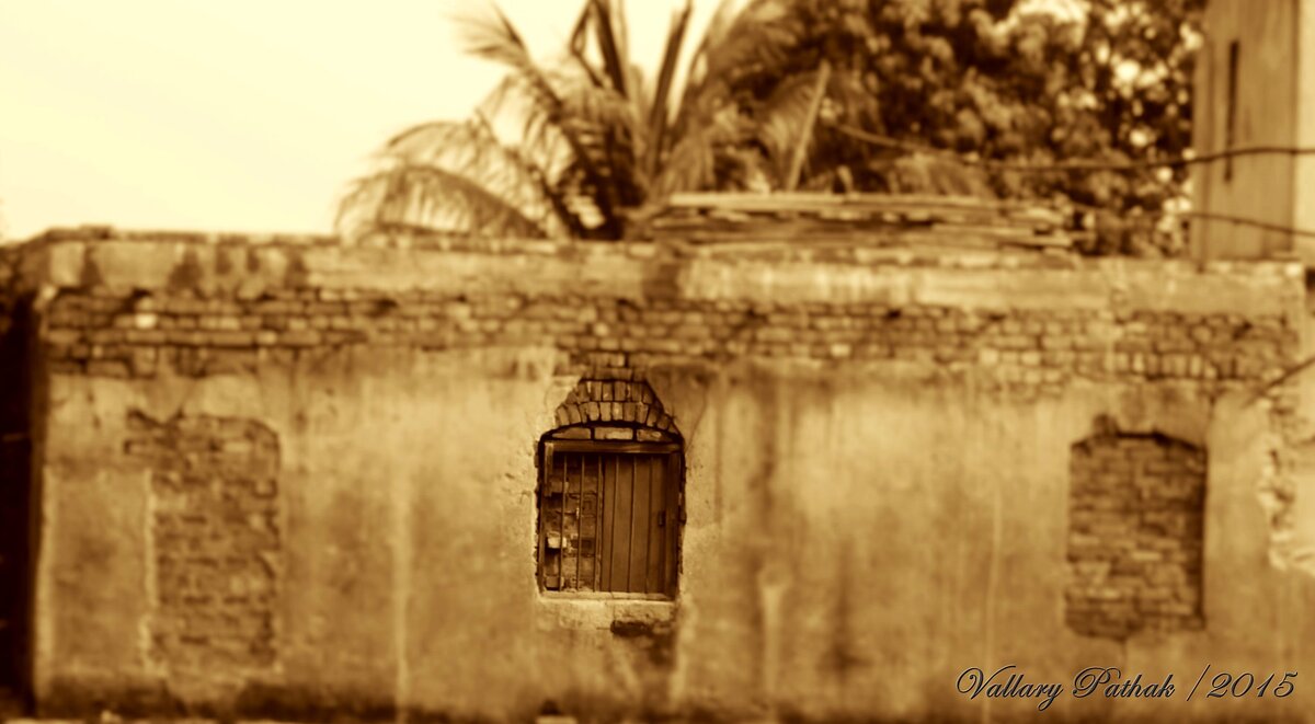 Фотобанк flickr (by Vallary Pathak)